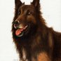 ★ Original Oil DOG Portrait Painting BELGIAN SHEPHERD ★