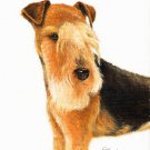 ★ Original Oil DOG Portrait Painting LAKELAND TERRIER ★