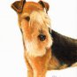★ Original Oil DOG Portrait Painting LAKELAND TERRIER ★