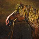 ★ Original Oil Portrait Painting DRAFT STALLION Horse ★