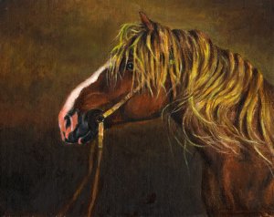 &acirc;�� Original Oil Portrait Painting DRAFT STALLION Horse &acirc;��