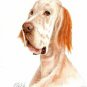 â Original Oil DOG Portrait Painting Art ENGLISH SETTER