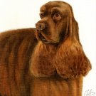 ♥Original DOG Portrait Painting AMERICAN COCKER SPANIEL