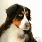 ★ Original Oil Portrait Painting BERNESE MOUNTAIN DOG ★