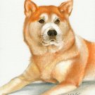 ★ ORIGINAL Oil DOG Portrait Painting Japanese AKITA Art