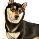 ★ Original Oil DOG Portrait Painting Japanese SHIBA INU