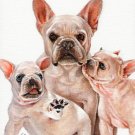 * Original Oil DOG Portrait Painting Art FRENCH BULLDOG