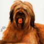 &acirc;�� Original Oil DOG Art Portrait Painting BRIARD Artwork