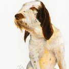 ★ Original DOG Oil Portrait Painting ITALIAN SPINONE ★