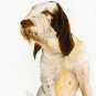 ★ Original DOG Oil Portrait Painting ITALIAN SPINONE ★