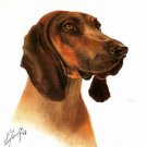 ★ Oil DOG Art Portrait Painting BAVARIAN MOUNTAIN HOUND