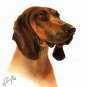 ★ Oil DOG Art Portrait Painting BAVARIAN MOUNTAIN HOUND