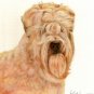 ★Original Oil DOG Portrait Painting Art WHEATEN TERRIER