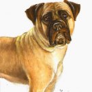 ★ ORIGINAL Oil DOG Portrait Painting BULLMASTIFF Art ★