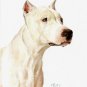 * Original Oil DOG Portrait Painting DOGO ARGENTINO Art