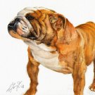 ★ Original Oil DOG Portrait Painting BULLDOG Artwork ★