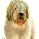 ♥ Original Oil DOG Portrait Painting RUSSIAN SHEEPDOG ♥