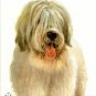 ♥ Original Oil DOG Portrait Painting RUSSIAN SHEEPDOG ♥