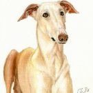 ★ Original Oil DOG Portrait Painting WINDHUND Artwork ★