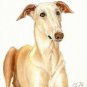 â
Original Oil DOG Portrait Painting WINDHUND Artwork â