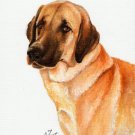 * Original Oil DOG Portrait Painting ANATOLIAN SHEEPDOG