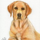 ★ ORIGINAL Oil DOG Portrait Painting LABRADOR RETRIEVER