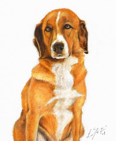 â
Original DOG Oil Portrait Painting AUSTRIAN PINSCHER
