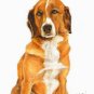 &acirc;�� Original DOG Oil Portrait Painting AUSTRIAN PINSCHER