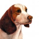 ★ Original Oil DOG Portrait Painting Art BEAGLE Artwork
