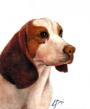 &acirc;�� Original Oil DOG Portrait Painting Art BEAGLE Artwork