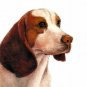 &acirc;�� Original Oil DOG Portrait Painting Art BEAGLE Artwork