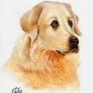 ★ Original Oil DOG Portrait Painting MAREMMA SHEEPDOG ★
