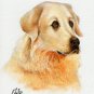 &acirc;�� Original Oil DOG Portrait Painting MAREMMA SHEEPDOG &acirc;��