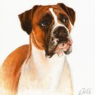 ★ Original DOG Oil Portrait Painting Art BOXER Artwork