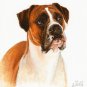 ★ Original DOG Oil Portrait Painting Art BOXER Artwork