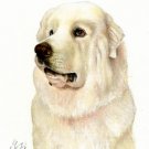 ♥ Original Oil DOG Portrait Painting GREAT PYRENEES Art