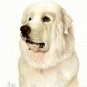 ♥ Original Oil DOG Portrait Painting GREAT PYRENEES Art