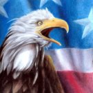 ★ Original Pastel Painting Drawing American Eagle Flag