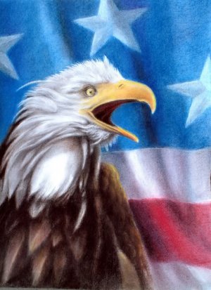 &acirc;�� Original Pastel Painting Drawing American Eagle Flag