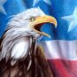 â Original Pastel Painting Drawing American Eagle Flag