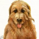 ★Original Oil DOG Portrait Painting CATALONIAN SHEEPDOG