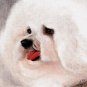 ♥ Original Oil DOG Art Portrait Painting BICHON FRISE ♥