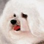 ♥ Original Oil DOG Art Portrait Painting BICHON FRISE ♥