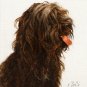 &acirc;�� Original Oil DOG Portrait Painting Art SCHAPENDOES &acirc;��