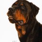 ★ Original Oil DOG Portrait Painting ROTTWEILER Artwork