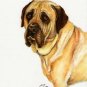 ★ Original Oil DOG Portrait Painting Artwork MASTIFF ★