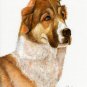 &acirc;�� Original Oil DOG Portrait Painting RUSSIAN SHEEPDOG &acirc;��