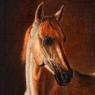 ★Original Oil Portrait Painting LIPPIZAN STALLION Horse