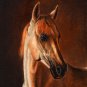 ★Original Oil Portrait Painting LIPPIZAN STALLION Horse