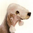♥ Original Oil DOG Portrait Painting BEDLINGTON TERRIER